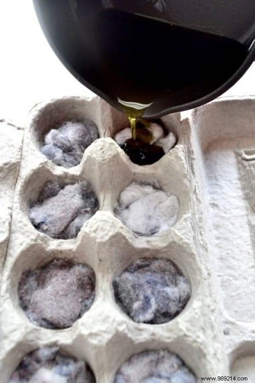 26 Ingenious Ways to Upcycle Egg Cartons: Sustainable DIY Ideas from a Zero-Waste Expert