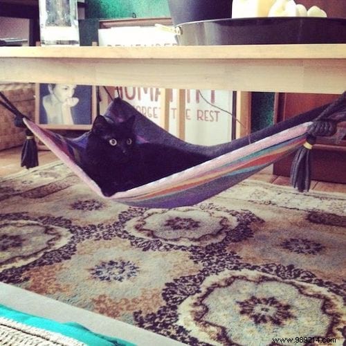 33 Genius Ways to Upcycle Old Towels: Practical DIY Recycling Ideas