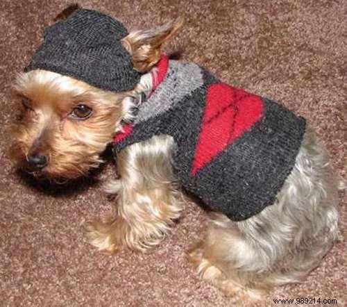 26 Genius DIY Ways to Upcycle Old Socks: Eco-Friendly Crafts for Home and Kids