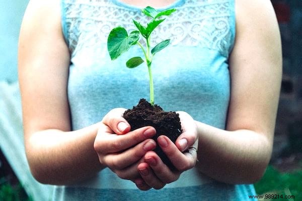 50 Simple, Proven Ways to Help Save the Planet Daily