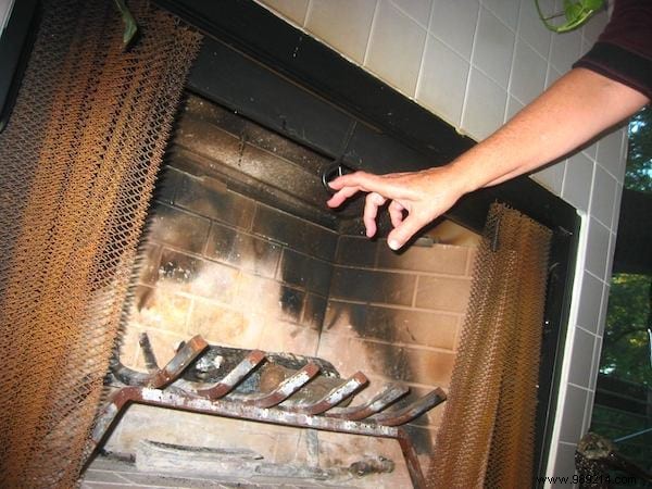 50 Simple, Proven Ways to Help Save the Planet Daily