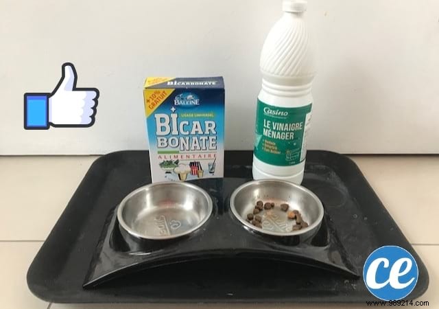 55 Proven Baking Soda and White Vinegar Tips to Ditch Harsh Commercial Cleaners