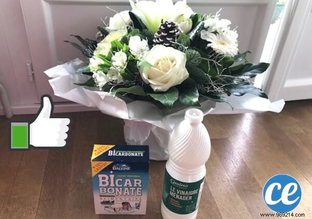 55 Proven Baking Soda and White Vinegar Tips to Ditch Harsh Commercial Cleaners