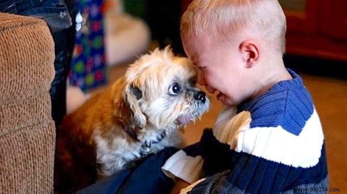 34 Heartwarming Photos: Why Every Child Benefits from Growing Up with a Dog or Cat
