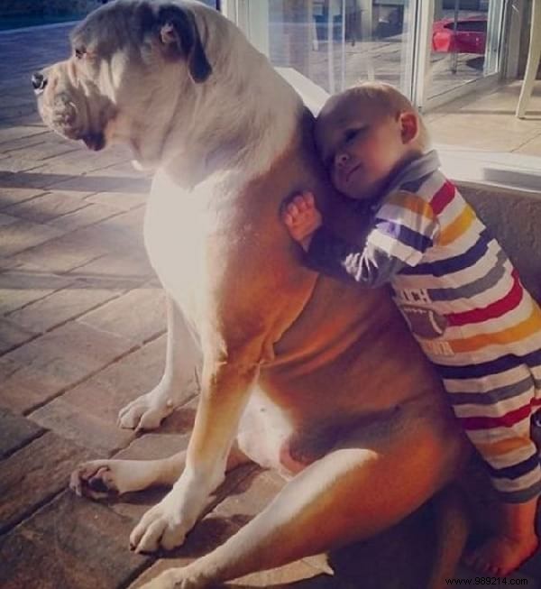 34 Heartwarming Photos: Why Every Child Benefits from Growing Up with a Dog or Cat