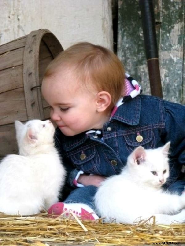 34 Heartwarming Photos: Why Every Child Benefits from Growing Up with a Dog or Cat