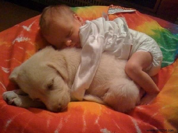 34 Heartwarming Photos: Why Every Child Benefits from Growing Up with a Dog or Cat