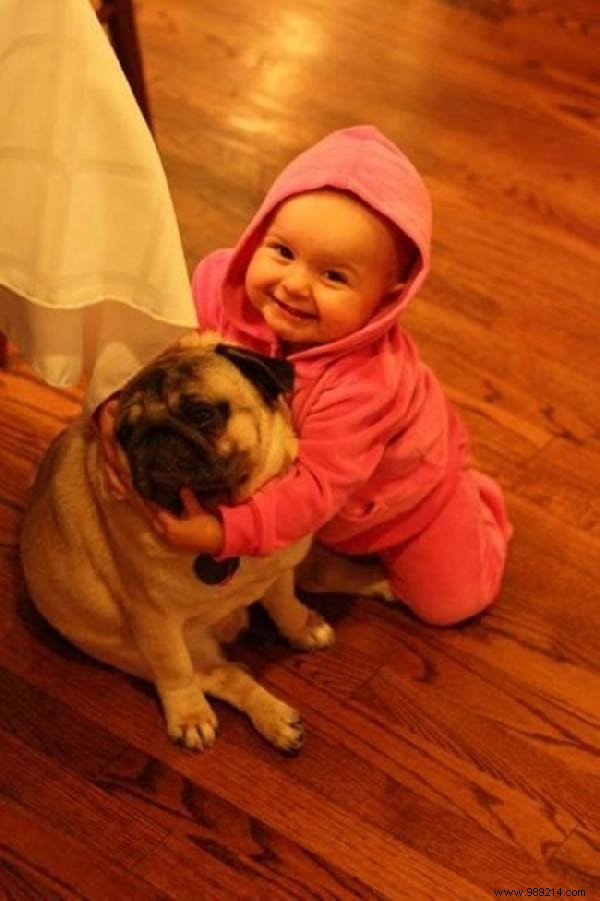 34 Heartwarming Photos: Why Every Child Benefits from Growing Up with a Dog or Cat