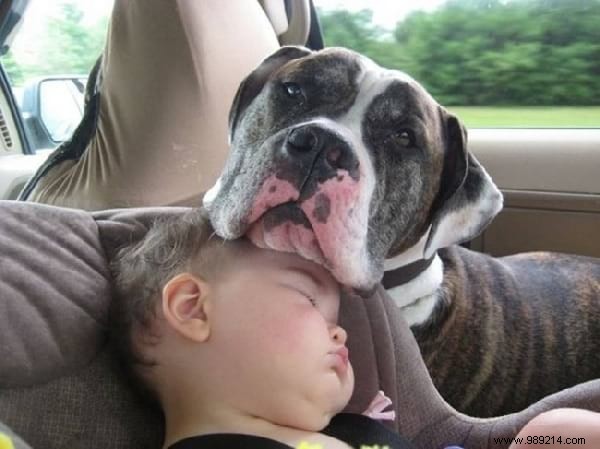 34 Heartwarming Photos: Why Every Child Benefits from Growing Up with a Dog or Cat