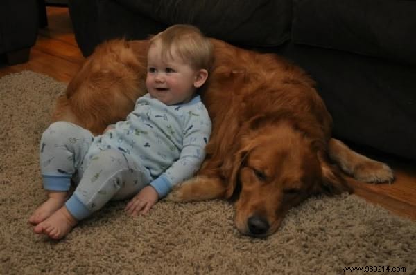 34 Heartwarming Photos: Why Every Child Benefits from Growing Up with a Dog or Cat