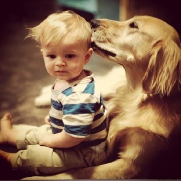 34 Heartwarming Photos: Why Every Child Benefits from Growing Up with a Dog or Cat