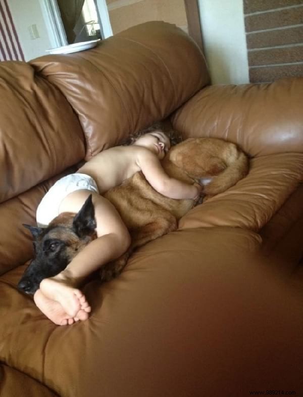 34 Heartwarming Photos: Why Every Child Benefits from Growing Up with a Dog or Cat