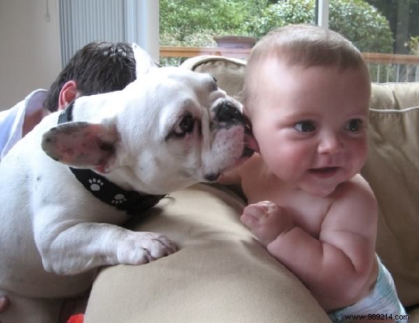 34 Heartwarming Photos: Why Every Child Benefits from Growing Up with a Dog or Cat