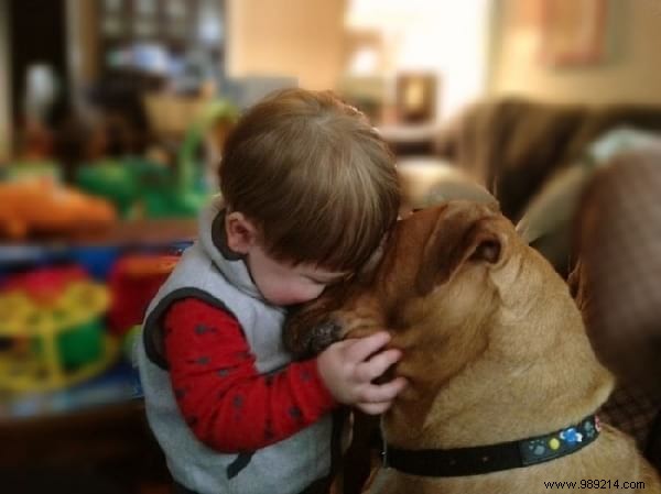 34 Heartwarming Photos: Why Every Child Benefits from Growing Up with a Dog or Cat
