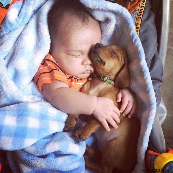 34 Heartwarming Photos: Why Every Child Benefits from Growing Up with a Dog or Cat