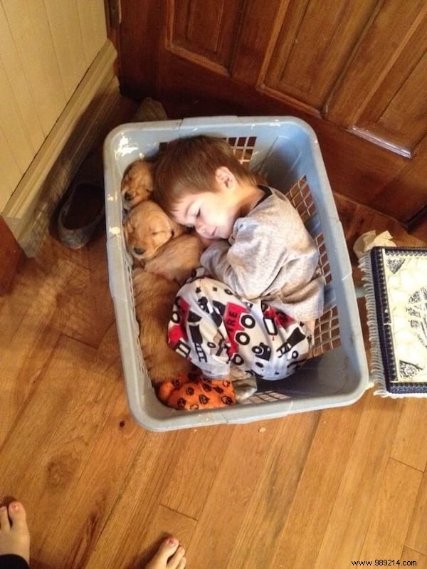 34 Heartwarming Photos: Why Every Child Benefits from Growing Up with a Dog or Cat