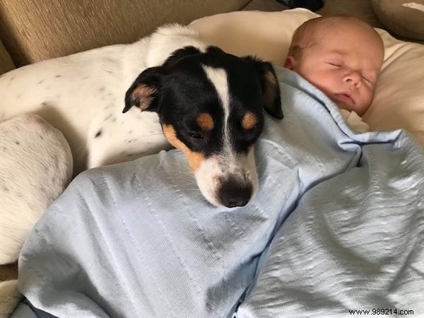 34 Heartwarming Photos: Why Every Child Benefits from Growing Up with a Dog or Cat