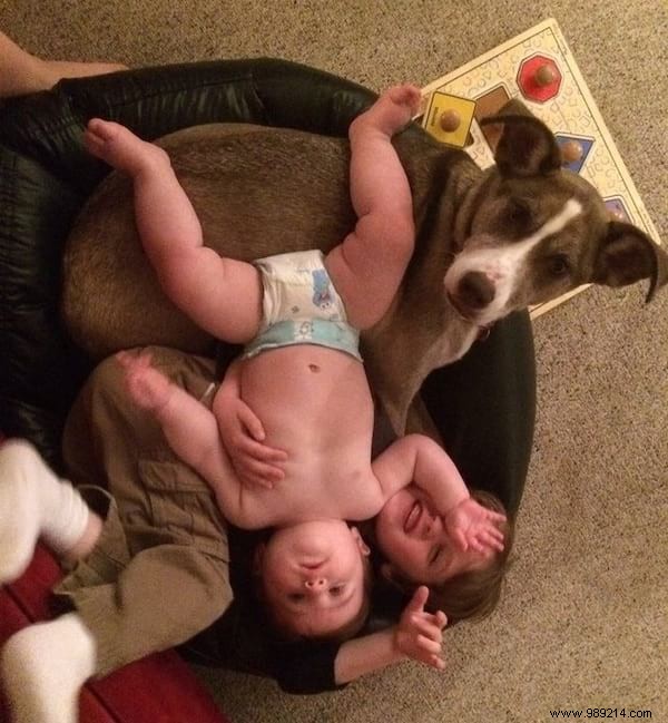 34 Heartwarming Photos: Why Every Child Benefits from Growing Up with a Dog or Cat