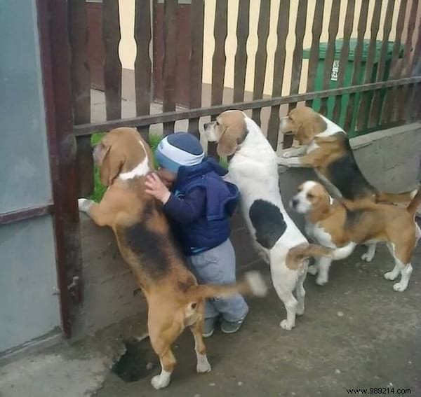 34 Heartwarming Photos: Why Every Child Benefits from Growing Up with a Dog or Cat