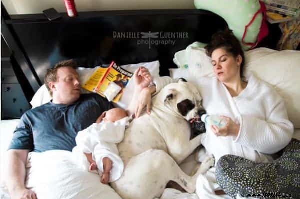 17 Relatable Photos Revealing the Unfiltered Reality of Parenthood by Pro Photographer Danielle Guenther