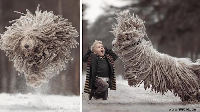 Heartwarming Photos: Giant Dogs and Their Young Owners by Renowned Photographer Andy Seliverstoff