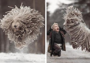 Heartwarming Photos: Giant Dogs and Their Young Owners by Renowned Photographer Andy Seliverstoff