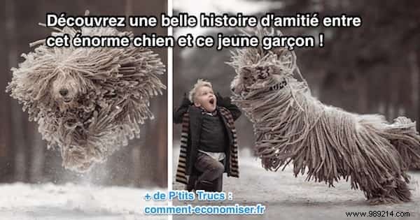 Heartwarming Photos: Giant Dogs and Their Young Owners by Renowned Photographer Andy Seliverstoff