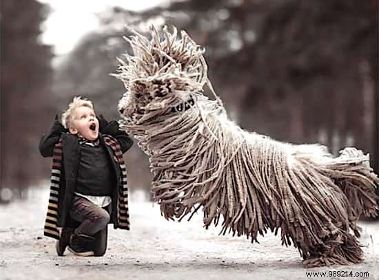 Heartwarming Photos: Giant Dogs and Their Young Owners by Renowned Photographer Andy Seliverstoff