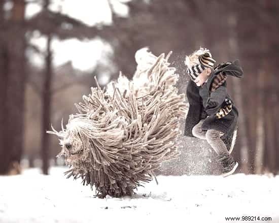 Heartwarming Photos: Giant Dogs and Their Young Owners by Renowned Photographer Andy Seliverstoff