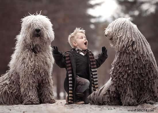 Heartwarming Photos: Giant Dogs and Their Young Owners by Renowned Photographer Andy Seliverstoff