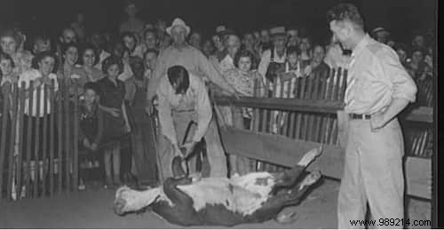 21 Vintage Photos Showcasing the Remarkable Resilience of Our Grandparents