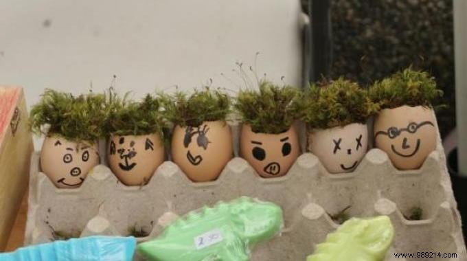 DIY Mini Herb Garden in Eggshells: Fun Spring Activity for Kids