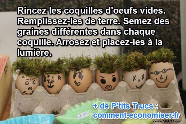 DIY Mini Herb Garden in Eggshells: Fun Spring Activity for Kids