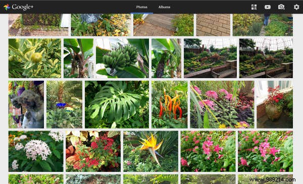 How to Seamlessly Transfer and Manage Photos from Your Digital Camera to a Chromebook