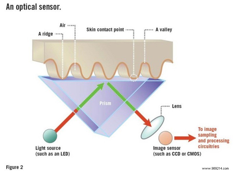 How Fingerprint Scanners Work: Optical, Capacitive, and Ultrasonic Explained