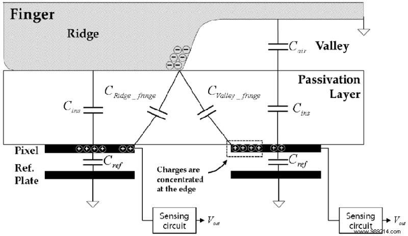How Fingerprint Scanners Work: Optical, Capacitive, and Ultrasonic Explained