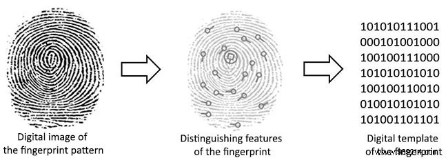 How Fingerprint Scanners Work: Optical, Capacitive, and Ultrasonic Explained
