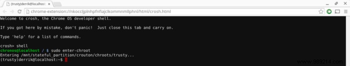 How to Run Linux in a Window on Your Chromebook: Expert Step-by-Step Guide