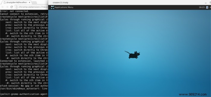 How to Run Linux in a Window on Your Chromebook: Expert Step-by-Step Guide