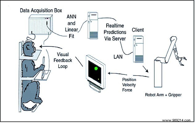 Brain-Computer Interfaces: What They Are and Why They re Captivating the World Now