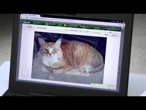 The Complete Guide to Chrome OS, Cr-48 Netbook, and Chrome Web Store