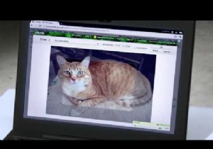 The Complete Guide to Chrome OS, Cr-48 Netbook, and Chrome Web Store