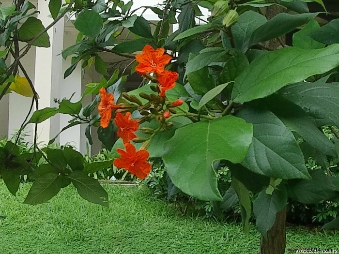 AKASO Brave 7 LE Review: Hands-On Test of This Budget 4K Action Camera