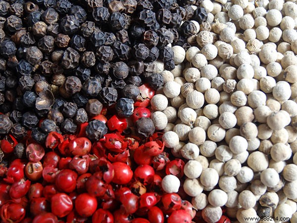 Hashing vs. Encryption: How Secure Websites Protect Your Passwords