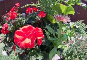 AKASO Brave 6 Plus Action Camera Review: Capture Every Adventure with Pro-Level Features