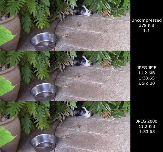 JPEG vs. PNG vs. GIF: Key Differences and When to Use Each Image Format