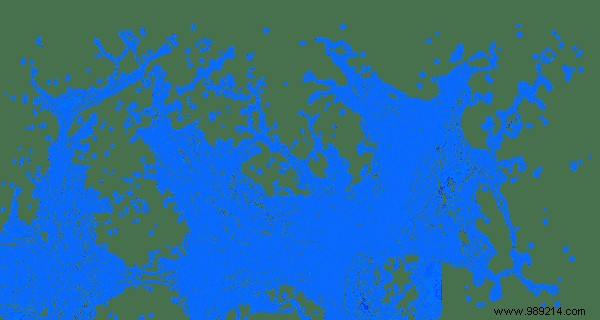 JPEG vs. PNG vs. GIF: Key Differences and When to Use Each Image Format