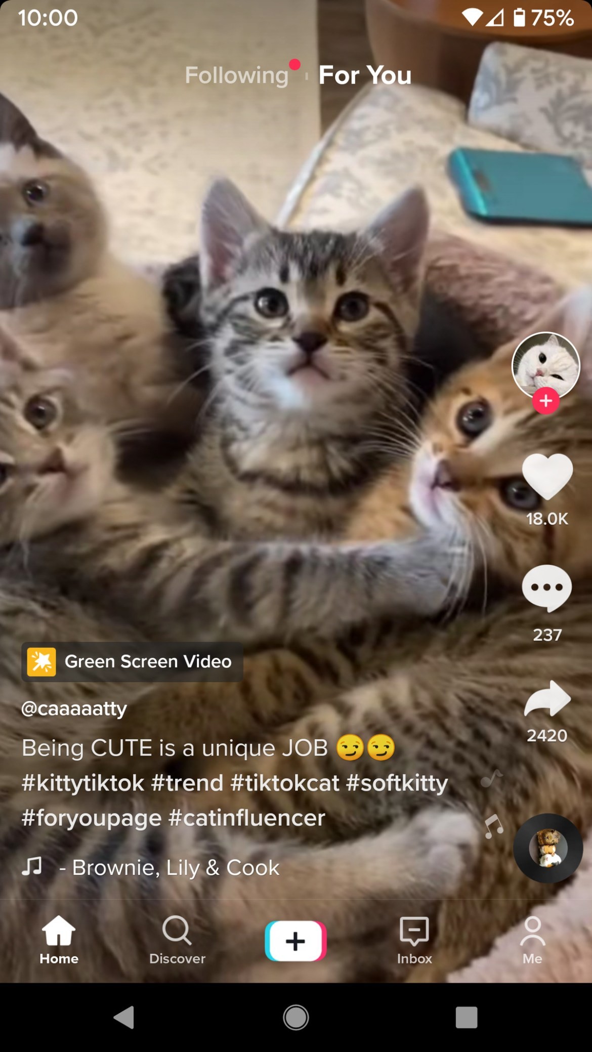TikTok Templates Guide: Create Stunning Videos in Minutes