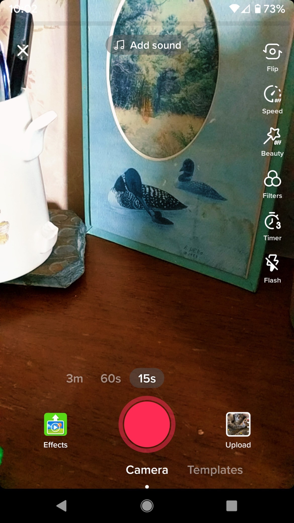 TikTok Templates Guide: Create Stunning Videos in Minutes