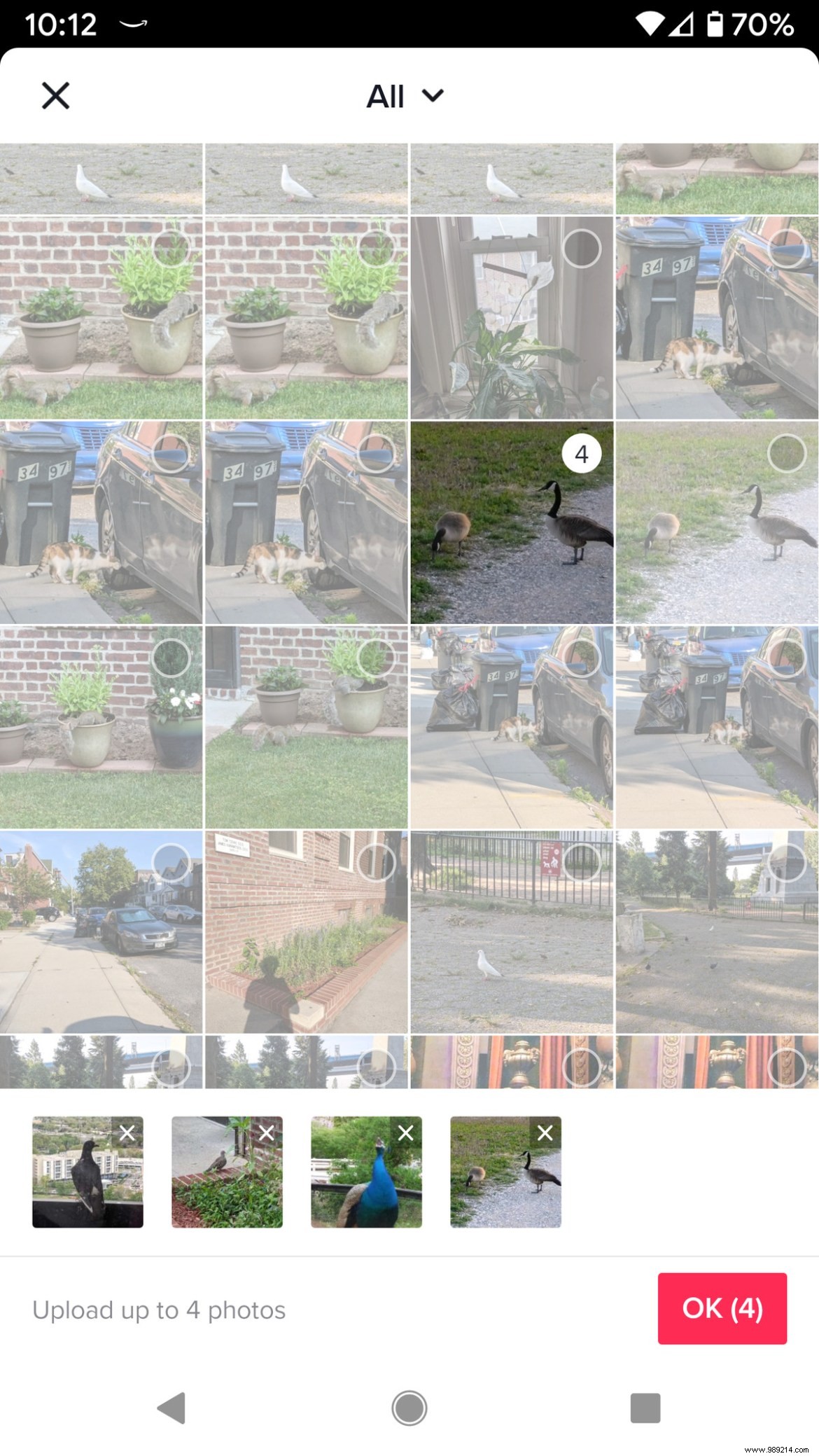 TikTok Templates Guide: Create Stunning Videos in Minutes